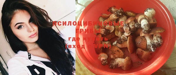 дурь Аркадак